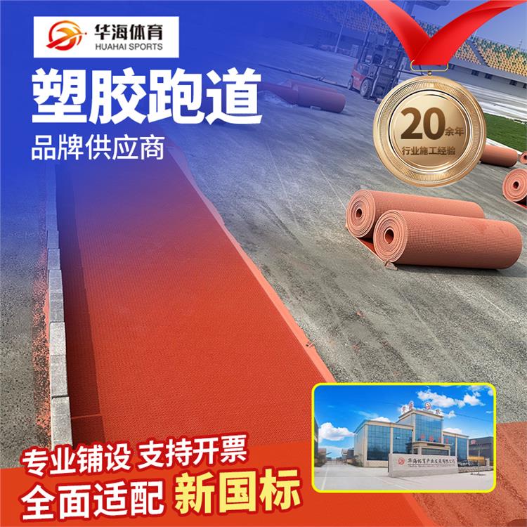宁德市半预制跑道预制跑道卷材 - 厂家